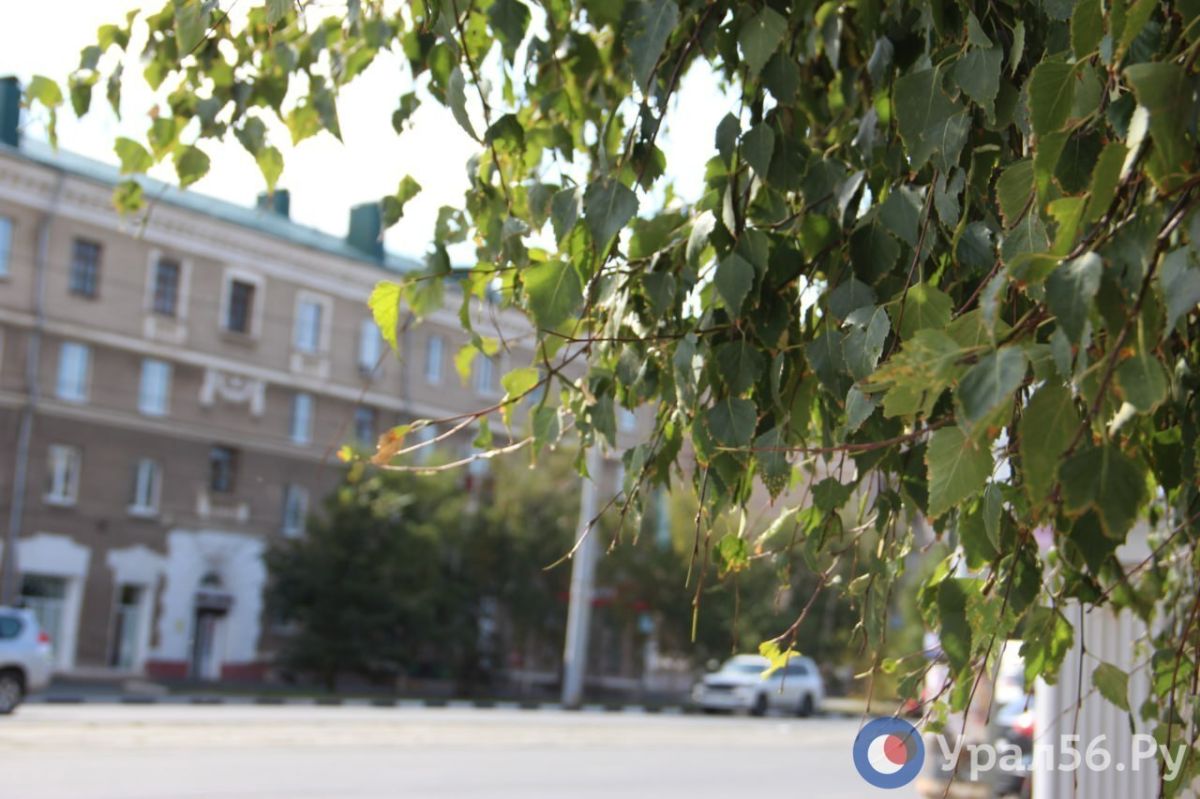 В Орске почти середина сентября В Орске почти середина сентября
