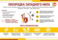 Управление Роспотребнадзора по Оренбургской области обращает внимание на необходимость соблюдения мер профилактики по предотвращению заболеваний, передающихся комарами, в том числе лихорадки Западного Нила (далее – ЛЗН)