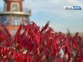 15 сентября, вторник. Продолжительность светового дня в Оренбурге — 12 часов 41 минута
