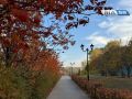 Ветреный четверг в Оренбуржье