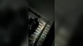 � ������������ ������� ��� ������� ��������� ���������� ��������� ���������� ������������ ����������, ����������� � ��������� ���������� ����������