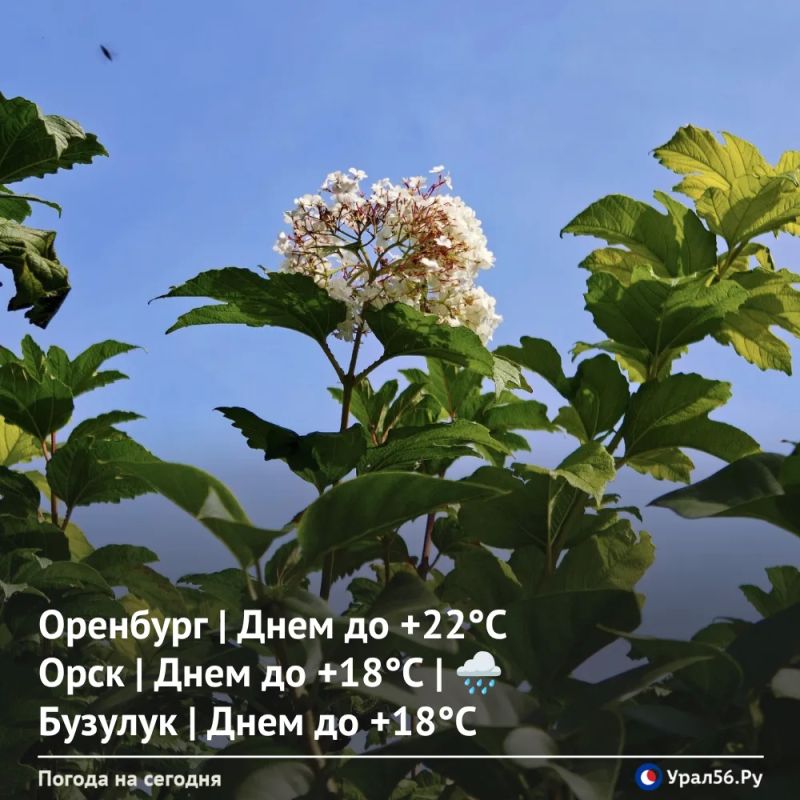 Доброе утро