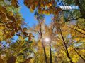 Тёплый осенний понедельник в Оренбуржье