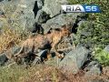 В среду в Оренбуржье будет жарко