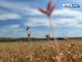 22 сентября, вторник. Продолжительность светового дня в Оренбурге — 12 часов 13 минут