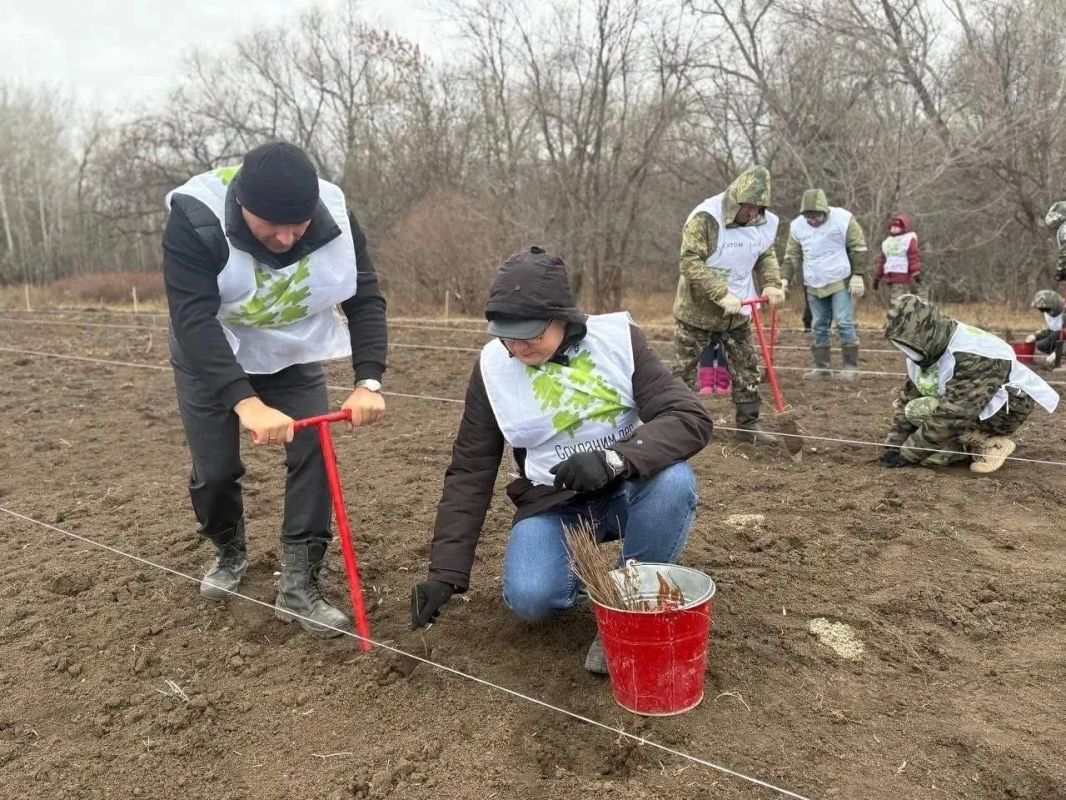 В Оренбургской области началась акция «Сохраним лес» В Оренбургской области началась акция «Сохраним лес»