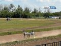 3 октября — закрытие сезона на Оренбургском ипподроме и большая ярмарка