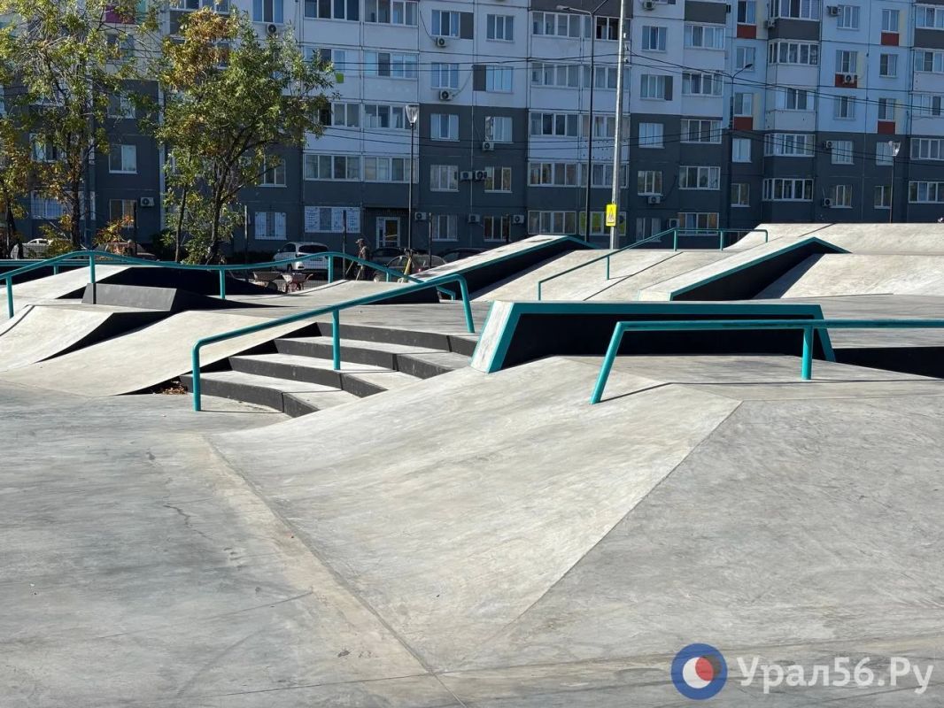 Памп-трек, скейт-площадка и зона для собак Памп-трек, скейт-площадка и зона для собак