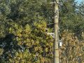 Оренбургским водителям стоит знать: камеры начнут фиксировать новые нарушения