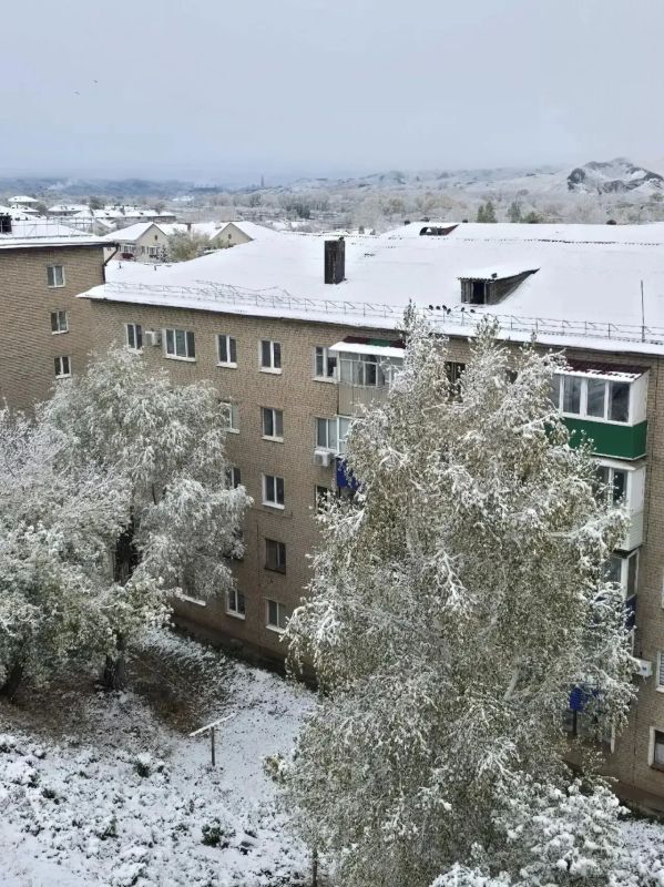 Первый снег выпал в пяти районах Оренбургской области Первый снег выпал в пяти районах Оренбургской области