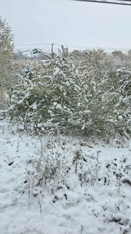 Сразу в нескольких районах Оренбургской области выпал первый снег Сразу в нескольких районах Оренбургской области выпал первый снег