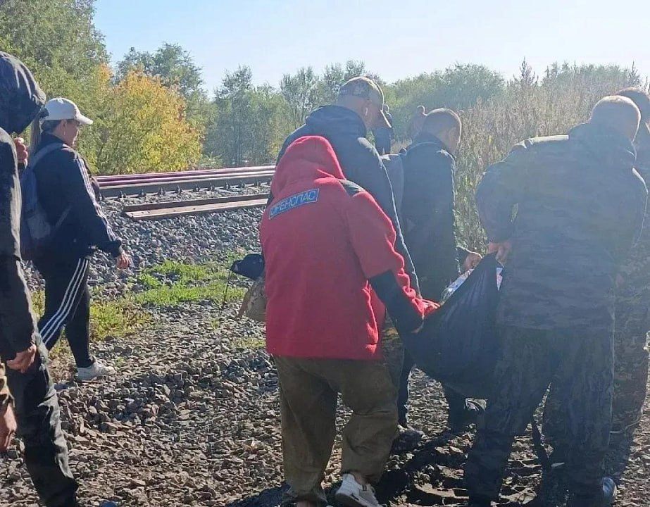 Полицейские нашли пенсионерку, которая почти пять дней провела в лесу под Оренбургом Полицейские нашли пенсионерку, которая почти пять дней провела в лесу под Оренбургом