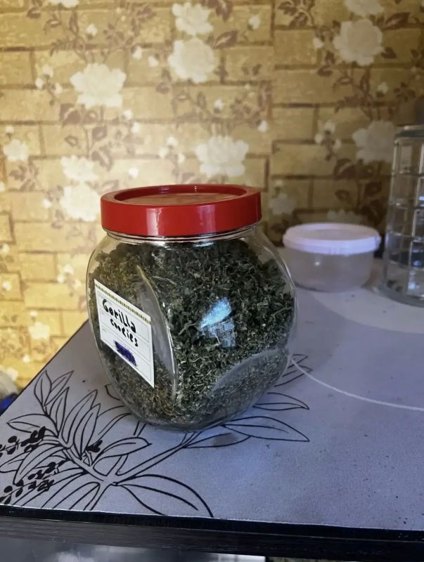 В Оренбурге сотрудники полиции изъяли у местного жителя марихуану В Оренбурге сотрудники полиции изъяли у местного жителя марихуану
