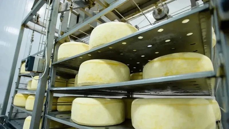 От зерна до мороженого: какая продукция из Оренбуржья экспортируется лучше всего