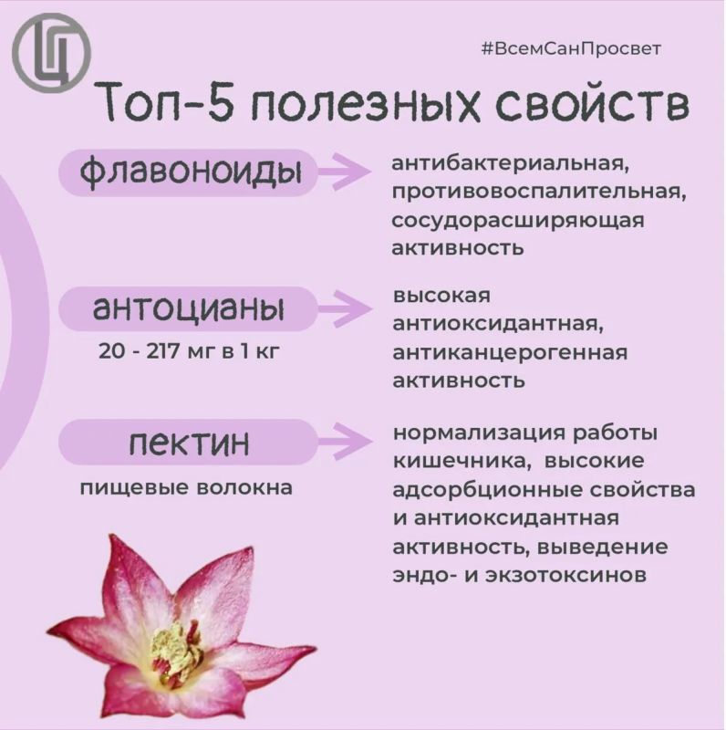 Баклажан — гость из далёких стран, который давно стал своим на российских кухнях Баклажан — гость из далёких стран, который давно стал своим на российских кухнях