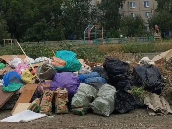 К сожалению, такую картину можно увидеть в нашем городе К сожалению, такую картину можно увидеть в нашем городе