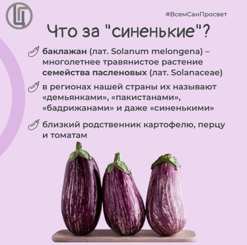 Баклажан — гость из далёких стран, который давно стал своим на российских кухнях Баклажан — гость из далёких стран, который давно стал своим на российских кухнях