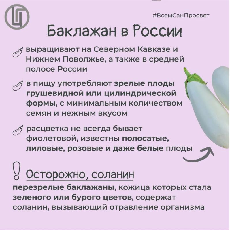 Баклажан — гость из далёких стран, который давно стал своим на российских кухнях Баклажан — гость из далёких стран, который давно стал своим на российских кухнях