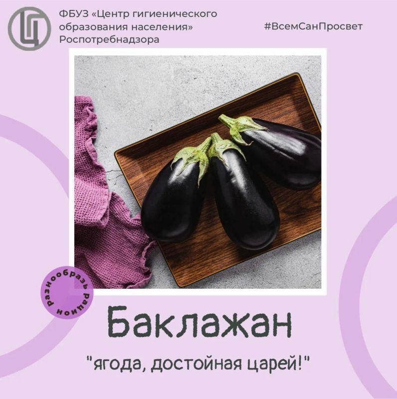 Баклажан — гость из далёких стран, который давно стал своим на российских кухнях