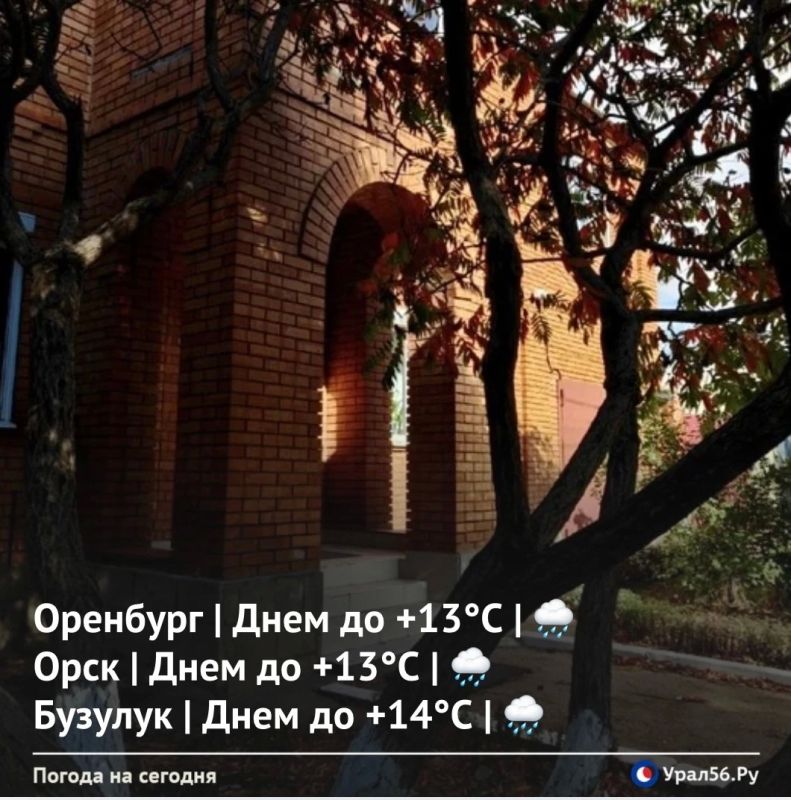 Сегодня в Оренбургской области прогнозируются дожди