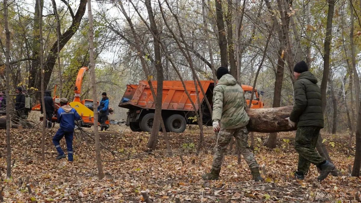 В Оренбурге проходят окружные субботники В Оренбурге проходят окружные субботники