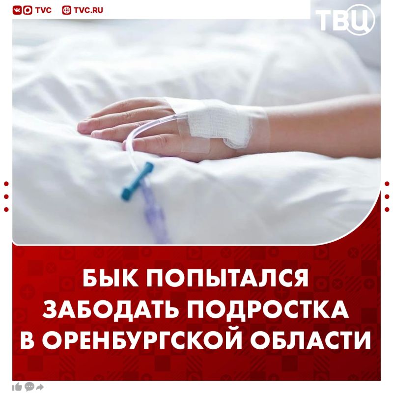 Подросток попал в больницу после нападения быка в Оренбургской области