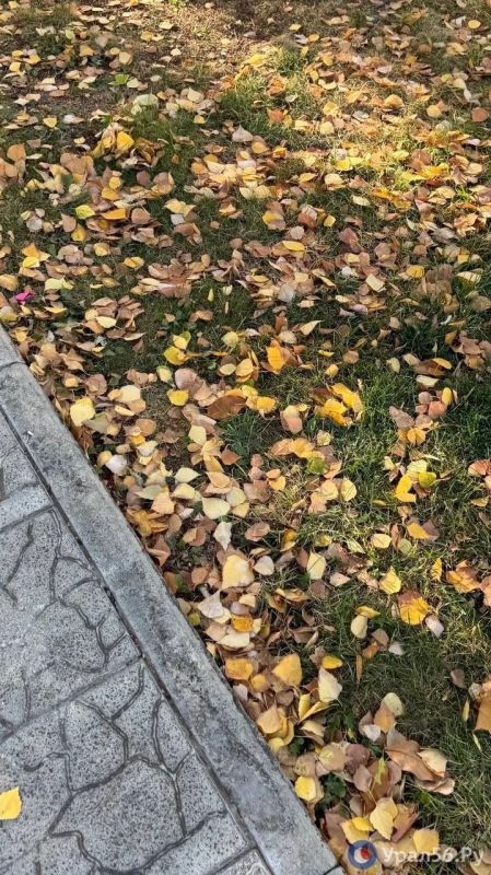 Оренбург сегодня! Оренбург сегодня!