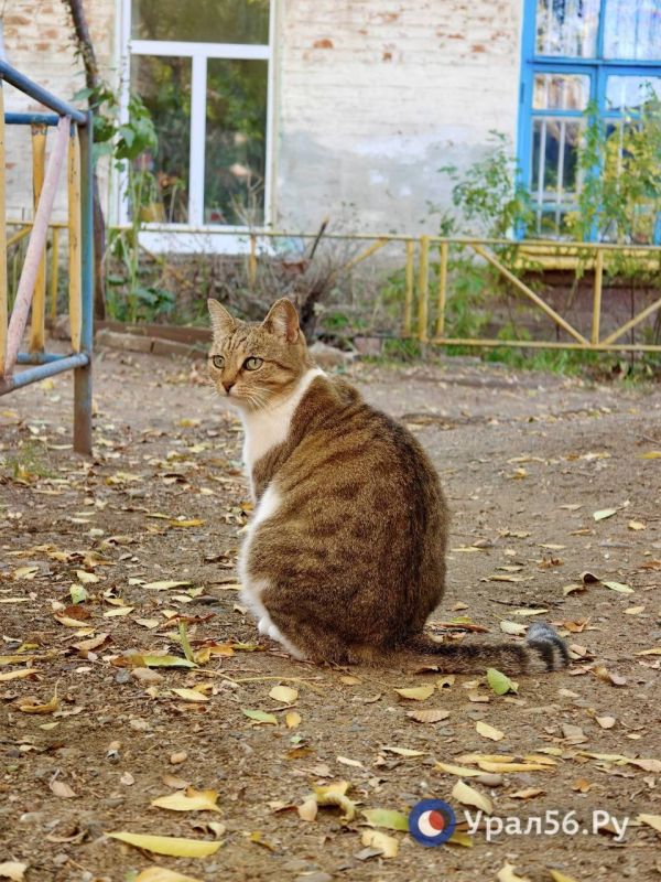 Солнечное воскресение в Оренбурге Солнечное воскресение в Оренбурге