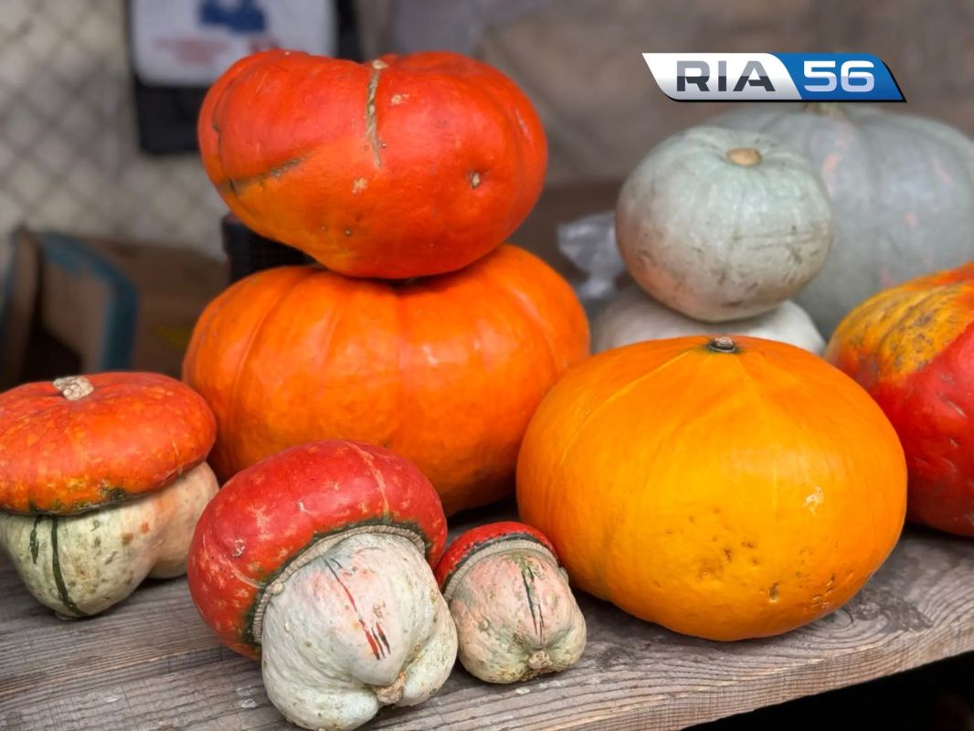 Тыква — не просто овощ: 5 интересных фактов о сезонном продукте