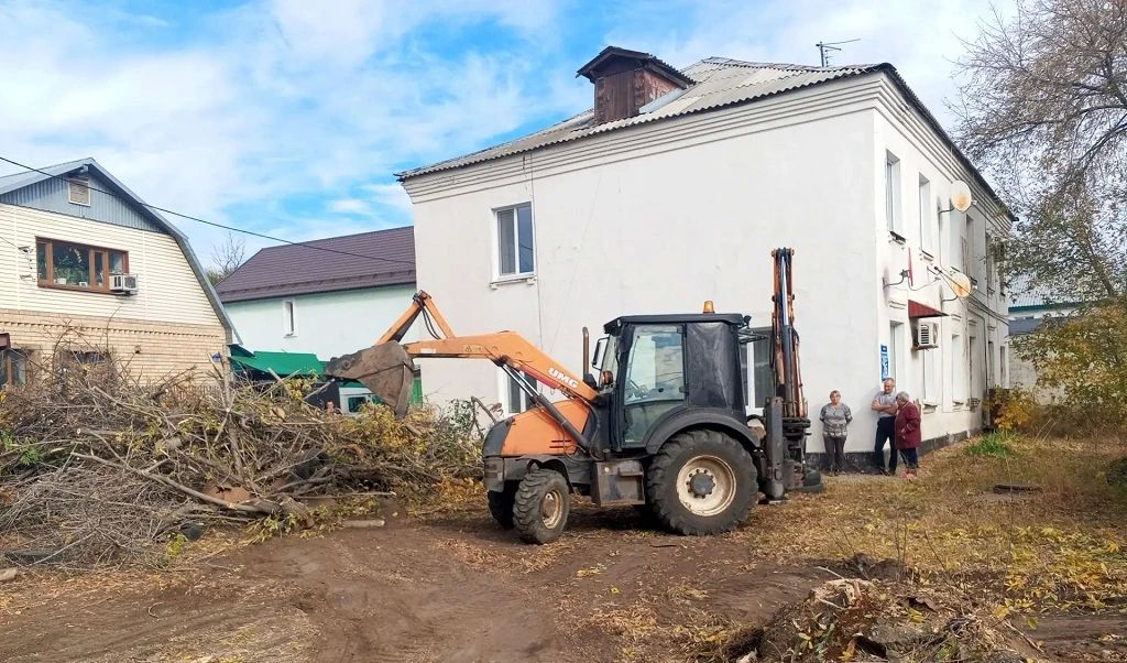 Угрозу от старых деревьев на улице Мусы Джалиля, 76 ликвидировали Угрозу от старых деревьев на улице Мусы Джалиля, 76 ликвидировали