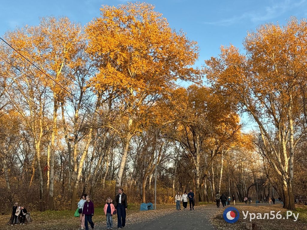 Оренбург в лучах октябрьского солнца Оренбург в лучах октябрьского солнца