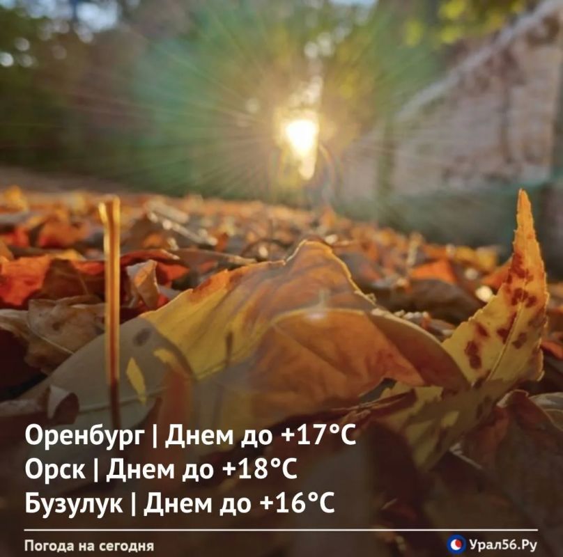 Доброе утро