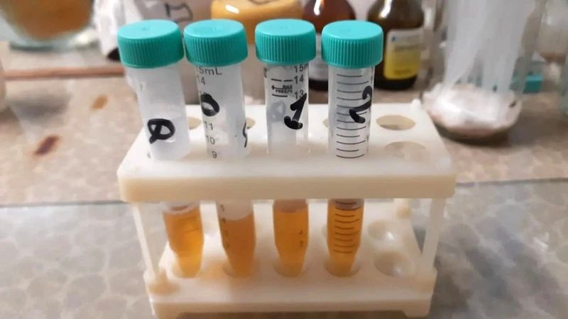 Ученые ОрГМУ запатентовали средство для лечения дрожжевых инфекций