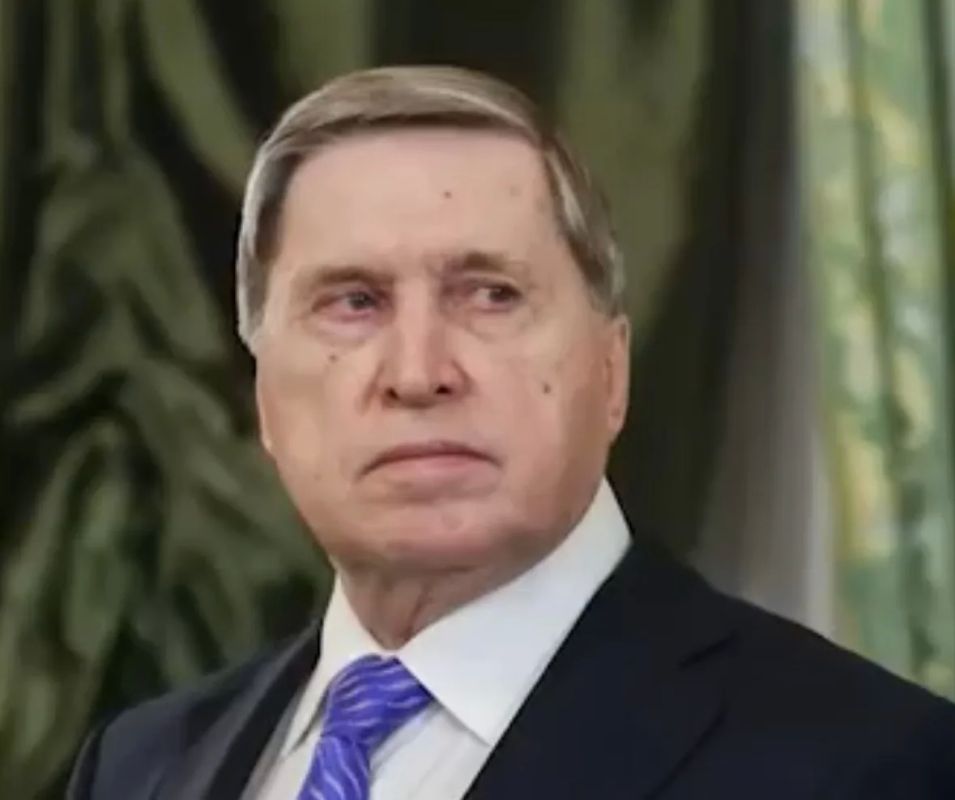 Путин и Уиткофф обсудили завершение украинского конфликта: что известно о переговорах