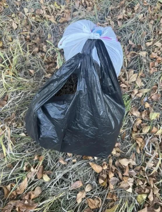 В Переволоцком районе изъяли более килограмма растительных наркотиков