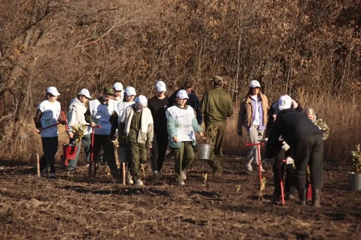 В Оренбуржье участники центрального мероприятия акции «Сохраним лес» высадили более двух тысяч сеянцев В Оренбуржье участники центрального мероприятия акции «Сохраним лес» высадили более двух тысяч сеянцев