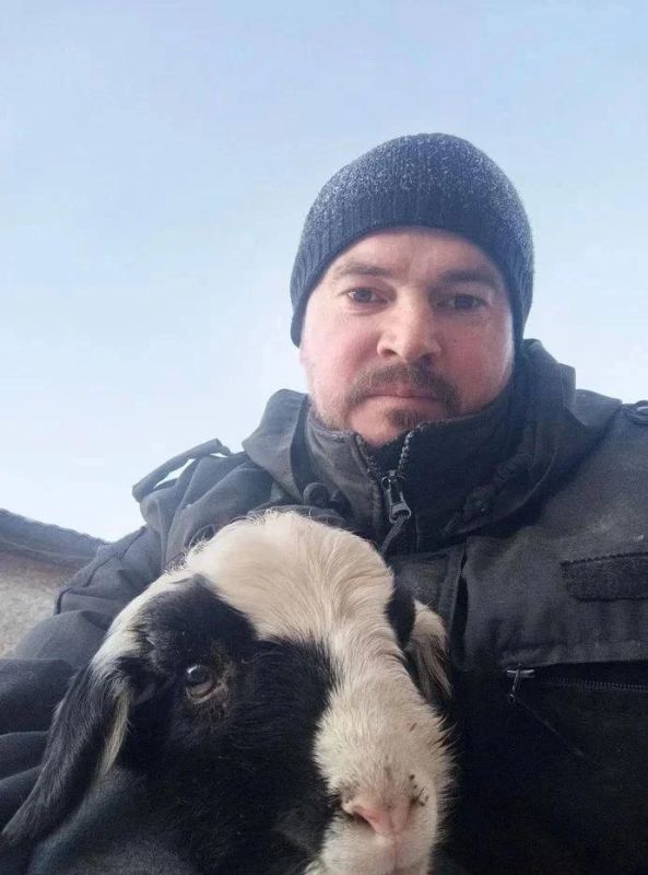 В Оренбуржье ветераны СВО развивают агробизнес В Оренбуржье ветераны СВО развивают агробизнес