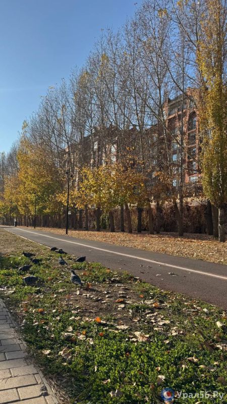 Теплый осенний день в Оренбурге Теплый осенний день в Оренбурге