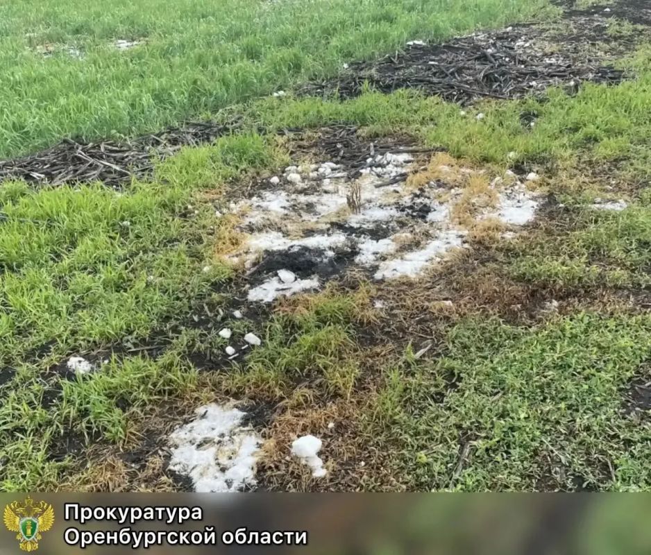 В Северном районе с владельца загрязнённого участка требуют взыскать более 300 тысяч рублей