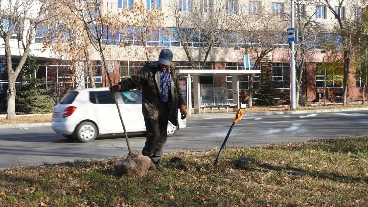 Более 60 ясеней высадили на проспекте Дзержинского в Оренбурге Более 60 ясеней высадили на проспекте Дзержинского в Оренбурге