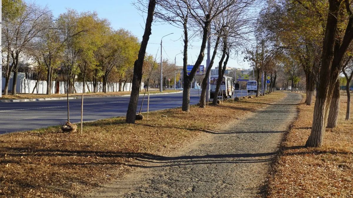 Более 60 ясеней высадили на проспекте Дзержинского в Оренбурге Более 60 ясеней высадили на проспекте Дзержинского в Оренбурге