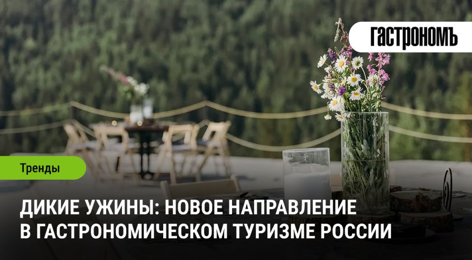 Дикие ужины: погружение в гастрономию на фоне природы