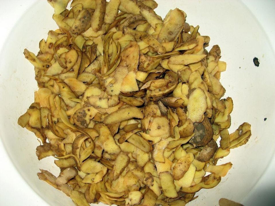 Как картофельные очистки могут стать настоящим золото для вашего огорода