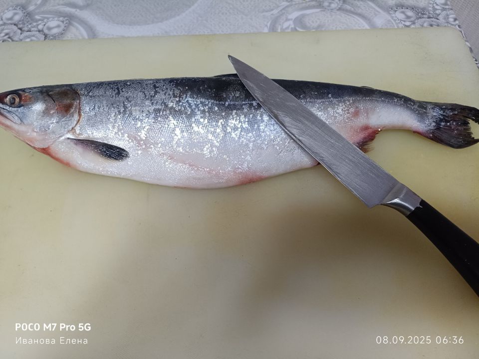 Погружение в мир домашних деликатесов: как правильно засолить горбушу