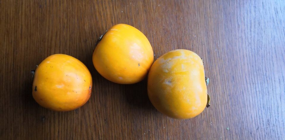 Как выбрать сладкую хурму и продлить её свежесть до лета