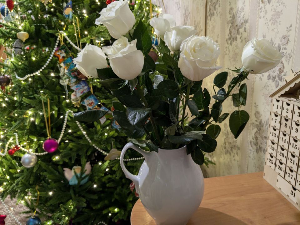 Весна в саду: советы по уходу и вдохновению