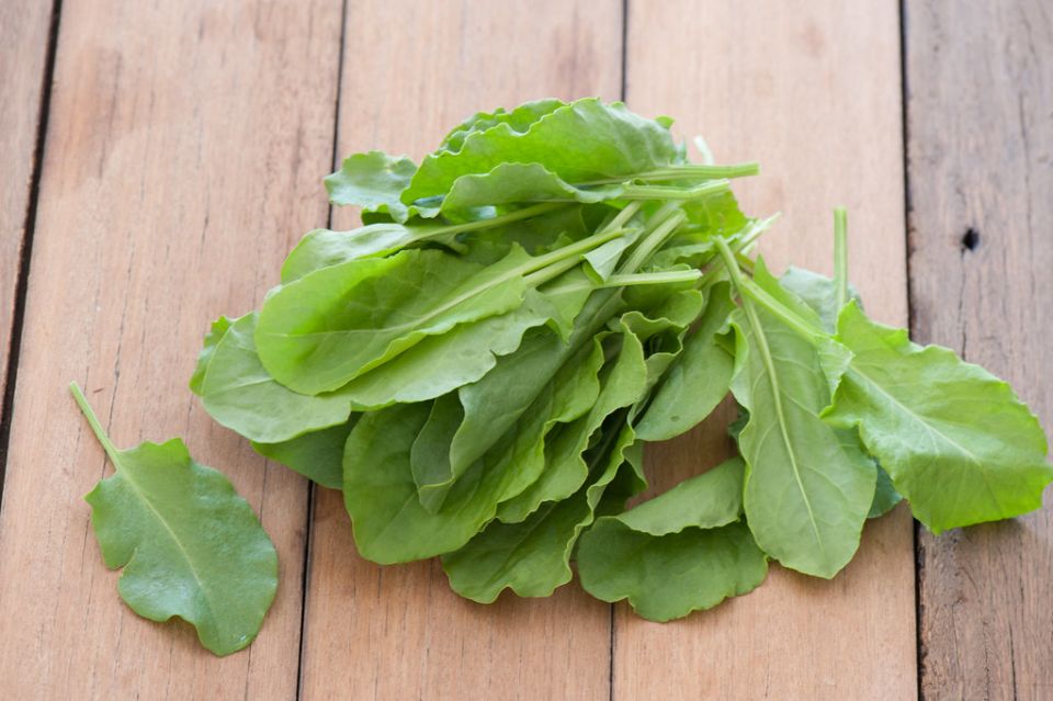 Щавель: зелёный суперфуд для ваших блюд