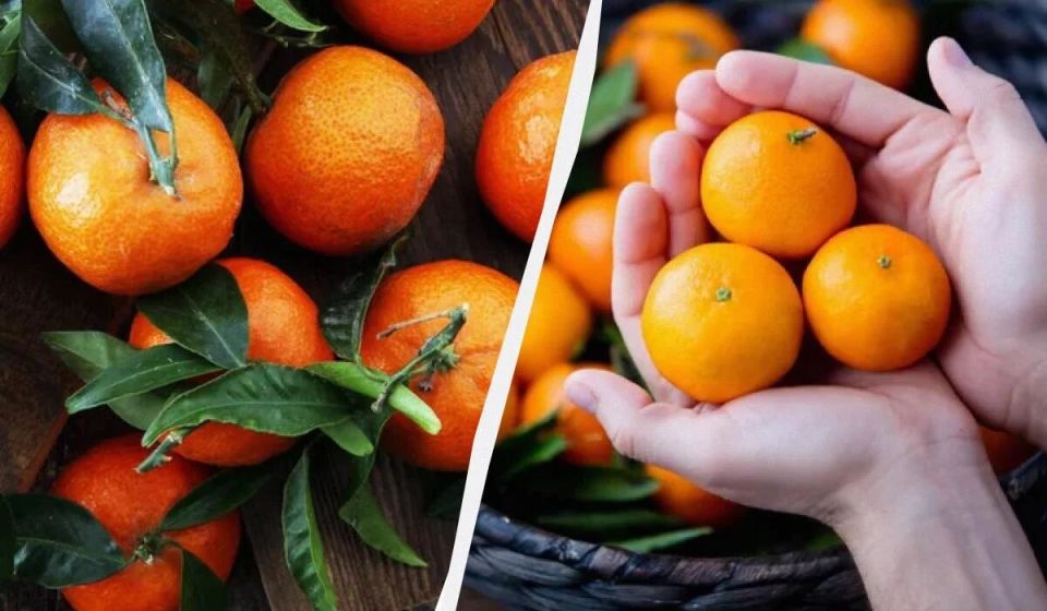 Как сделать кислые мандарины сладкими: секрет простого лайфхака