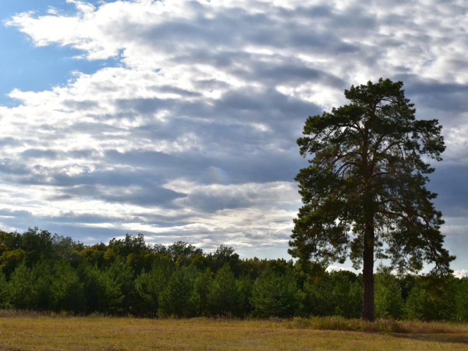 ��� ���������� ������ � �������: ������ �� ��������� ����������� ��������