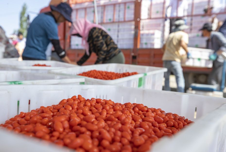 ����� ����� � ���������: ���� � ������ � ���������� ��� �������� ����������